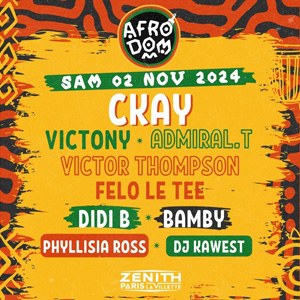 Afrodom au Zénith de Paris en novembre 2024