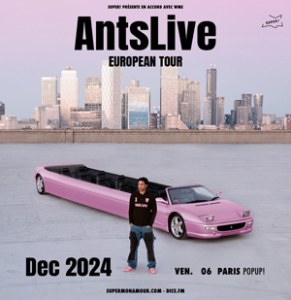 AntsLive en concert au Pop Up! en décembre 2024