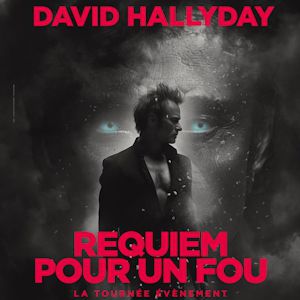 David Hallyday en concert à l'Arena Grand Paris en mars 2025