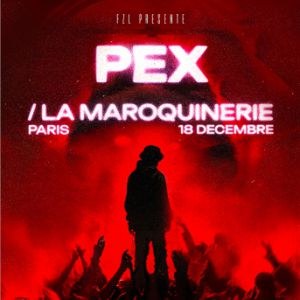 Pex en concert à La Maroquinerie en décembre 2024